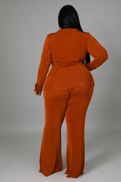 Cognac Long Sleeve Stretch Top High Waist Pants Plus Size Two Piece Set