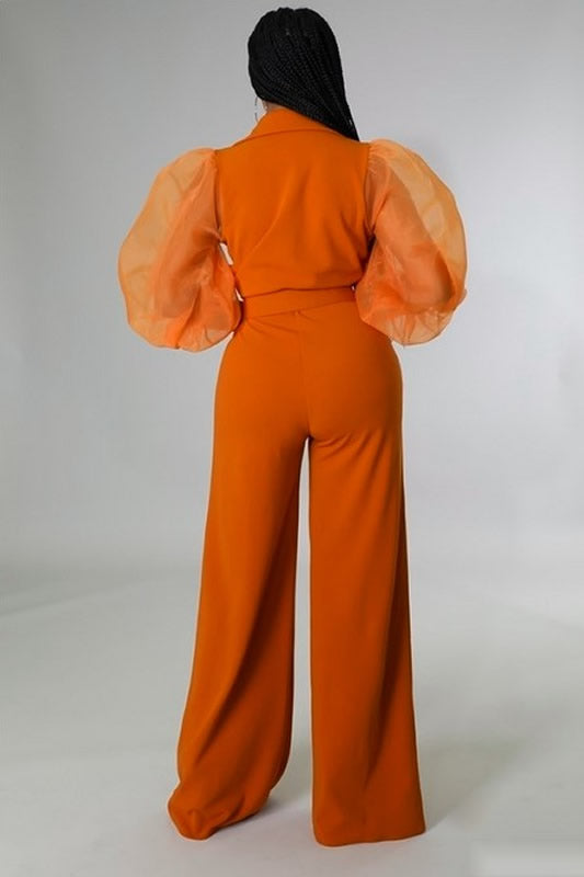 Camel Long Sheer Sleeve Wide Leg Stretch Jumpsuit