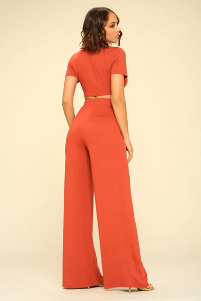 Brick Short Sleeve Crop Top High Waist Palazzo Pants Set