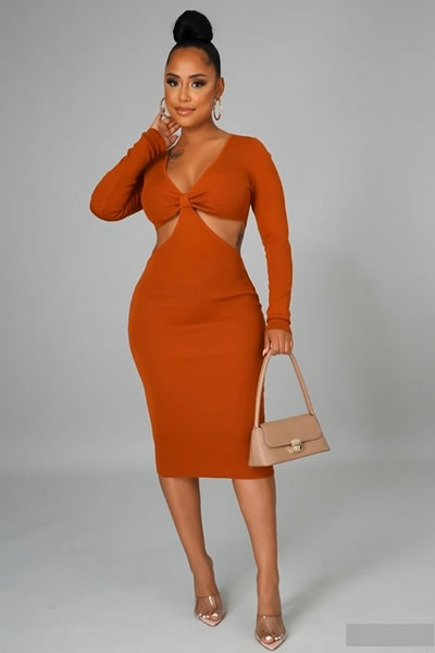 Rust Stretch V Neck Long Sleeve Dress