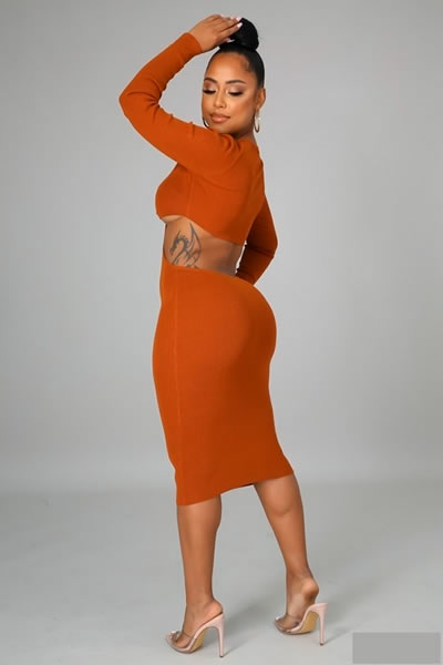 Rust Stretch V Neck Long Sleeve Dress